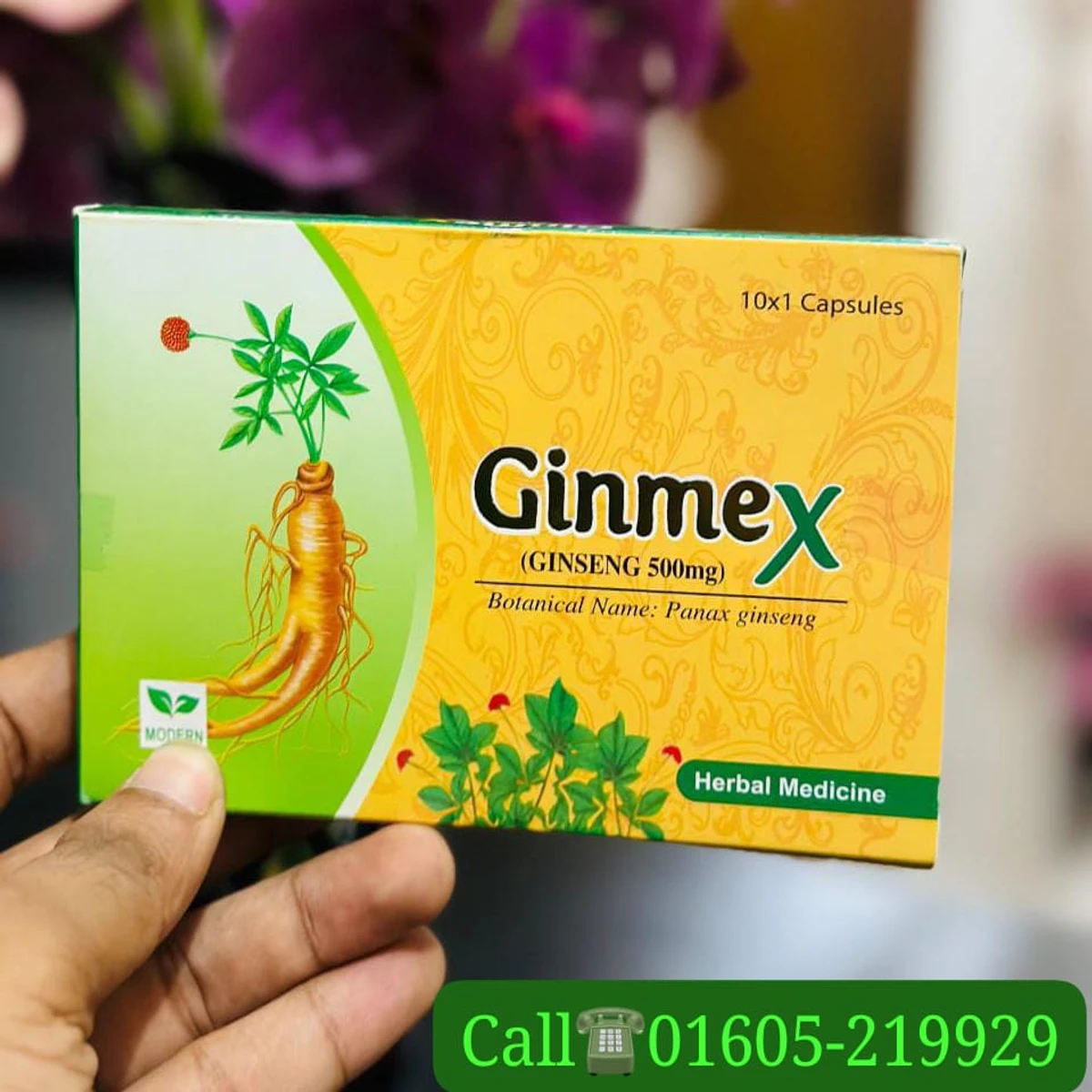 Ginmex